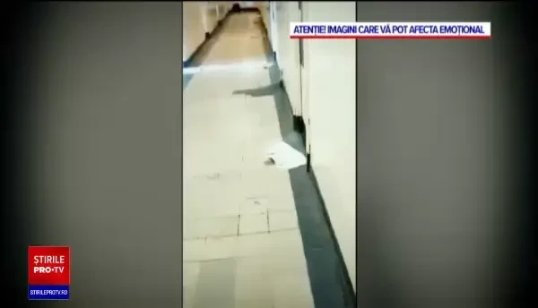 Spital Covid din Reșița: pacienți dezbrăcați care se târăsc după ajutor pe holuri, un cadavru în pat și porumbei în saloane