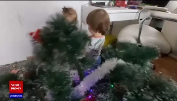 Bradul de Crăciun, o sursă de optimism și alinare în 2020. Românii se pregătesc deja pentru Sărbătorile de iarnă