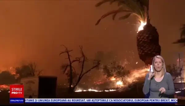 Mai multe incendii violente de vegetaţie au izbucnit în sudul Californiei