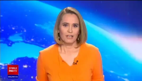 Cum a ajuns un koala să ”împodobească” bradul de Crăciun