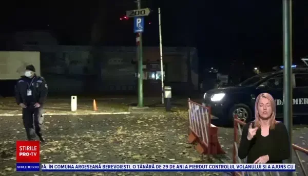 Alertă în Târgu Mureș. O ursoaică și puiul ei, la plimbare într-un loc de joacă pentru copii