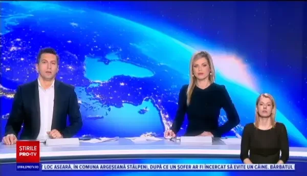 Doi oameni au murit în Argeș după ce șoferul a încercat să evite un câine