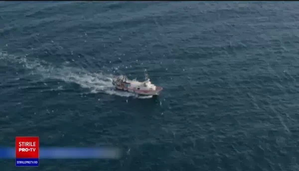 Importatorii de pește au deschis pescării online. Proprietar: „Cumpărăm pește direct din port”