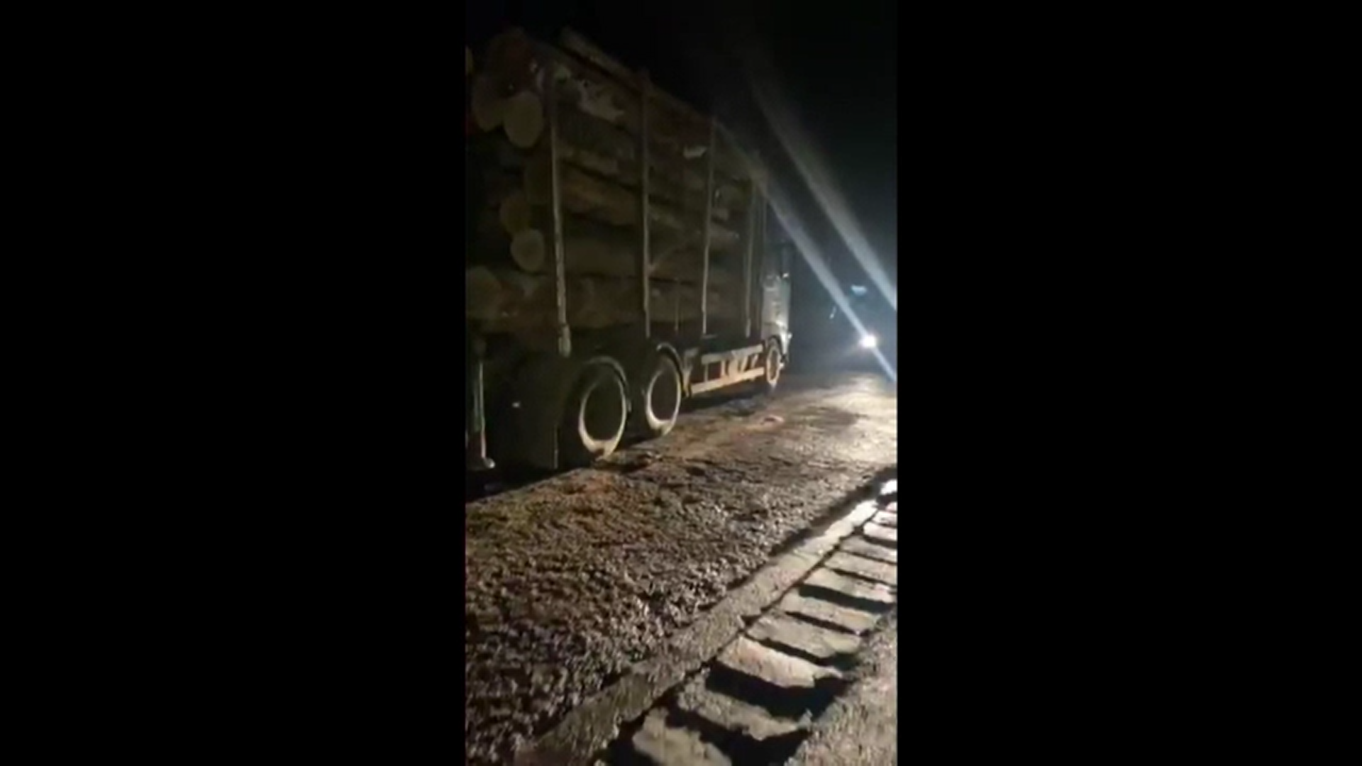 Activist de mediu, acroșat de o mașină în timp ce urmărea un posibil transport ilegal de lemne. Reacția lui Marcel Vela