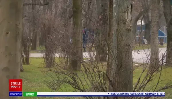 Horoscop 9 decembrie 2020, prezentat de Neti Sandu. Peștii primesc bani pentru achiziții