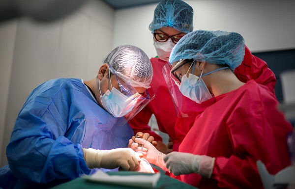 Advertorial Dr. Leahu