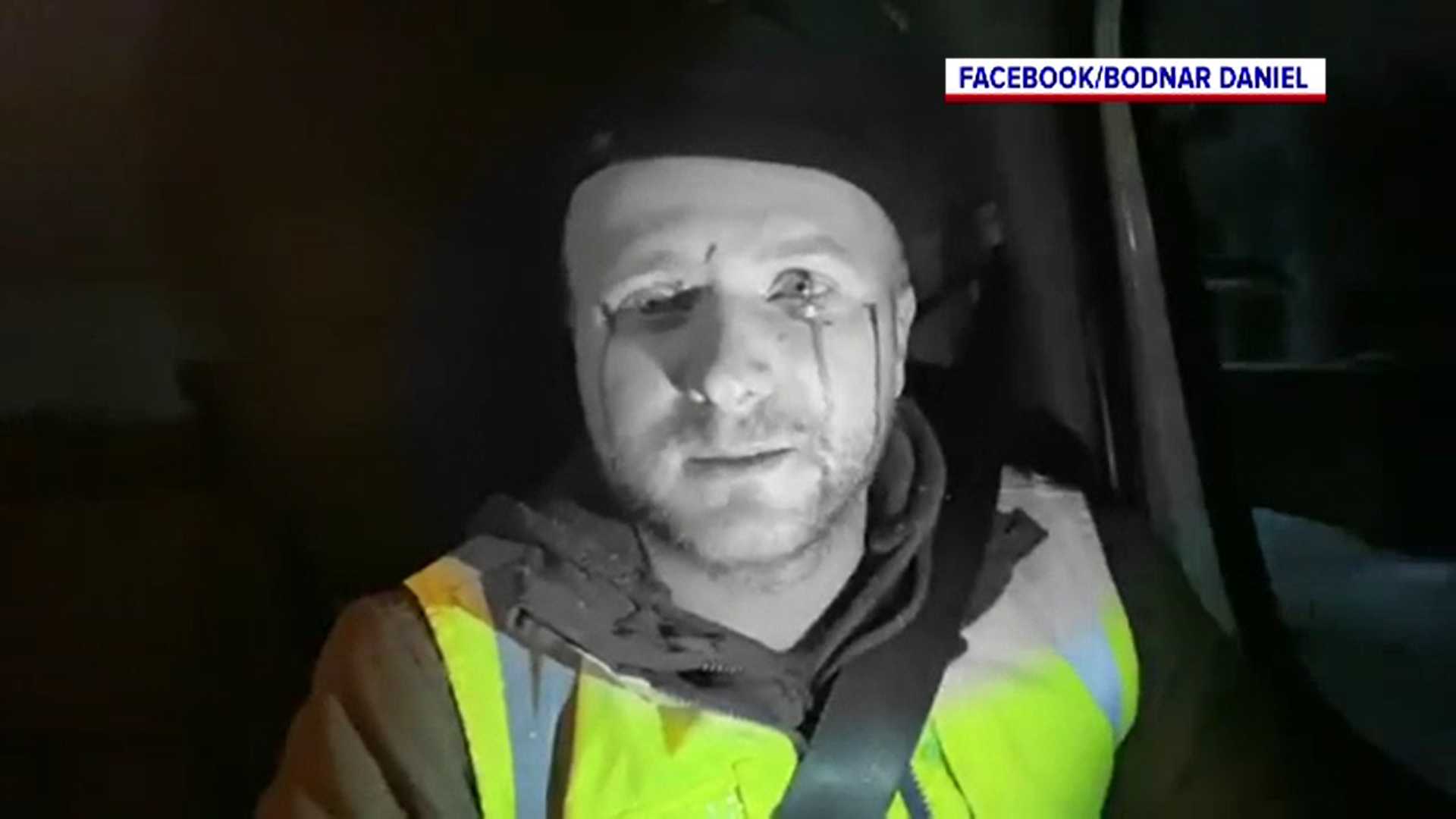 Activistul de mediu Daniel Bodnar, atacat cu pietre de mai mulți bărbați care transportau lemne tăiate ilegal