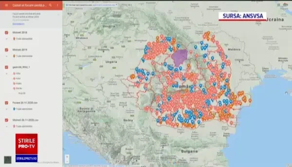 Tradiţia tăierii porcului este sub semnul întrebării anul acesta. Pesta porcină a reapărut în România