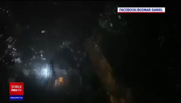 Activistul de mediu Daniel Bodnar, atacat cu pietre de mai mulți bărbați care transportau lemne tăiate ilegal