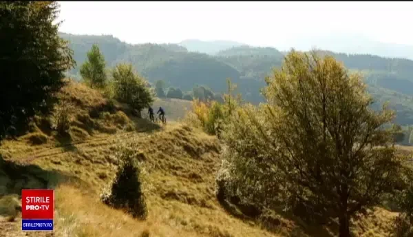 RePatriot, proiectul prin care românii din diaspora pot promova România. Ce presupune