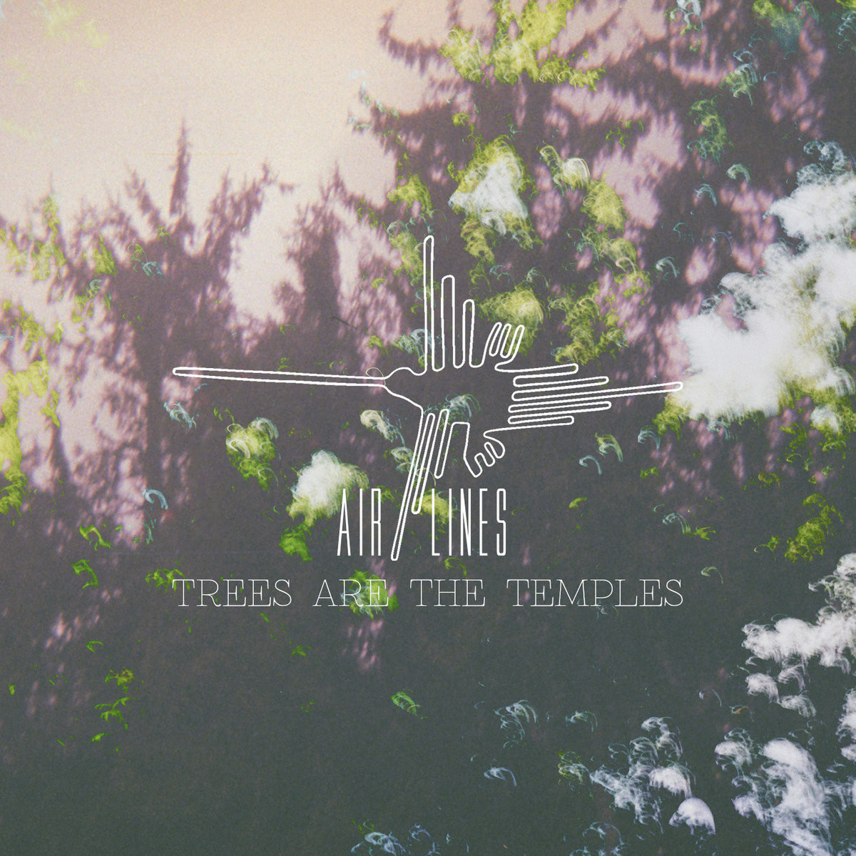 Air Lines, proiect muzical românesc de post-punk & industrial, a lansat videoclipul ”Trees are the Temples”