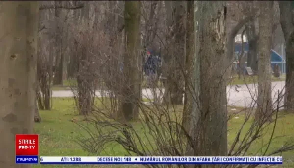 Horoscop 13 decembrie 2020, cu Neti Sandu. Racilor li se propune o afacere bănoasă