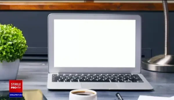 Cum încearcă proprietarii de vile să-i atragă pe clienți de Sărbători. "Puteţi face liniştiţi petrecere"