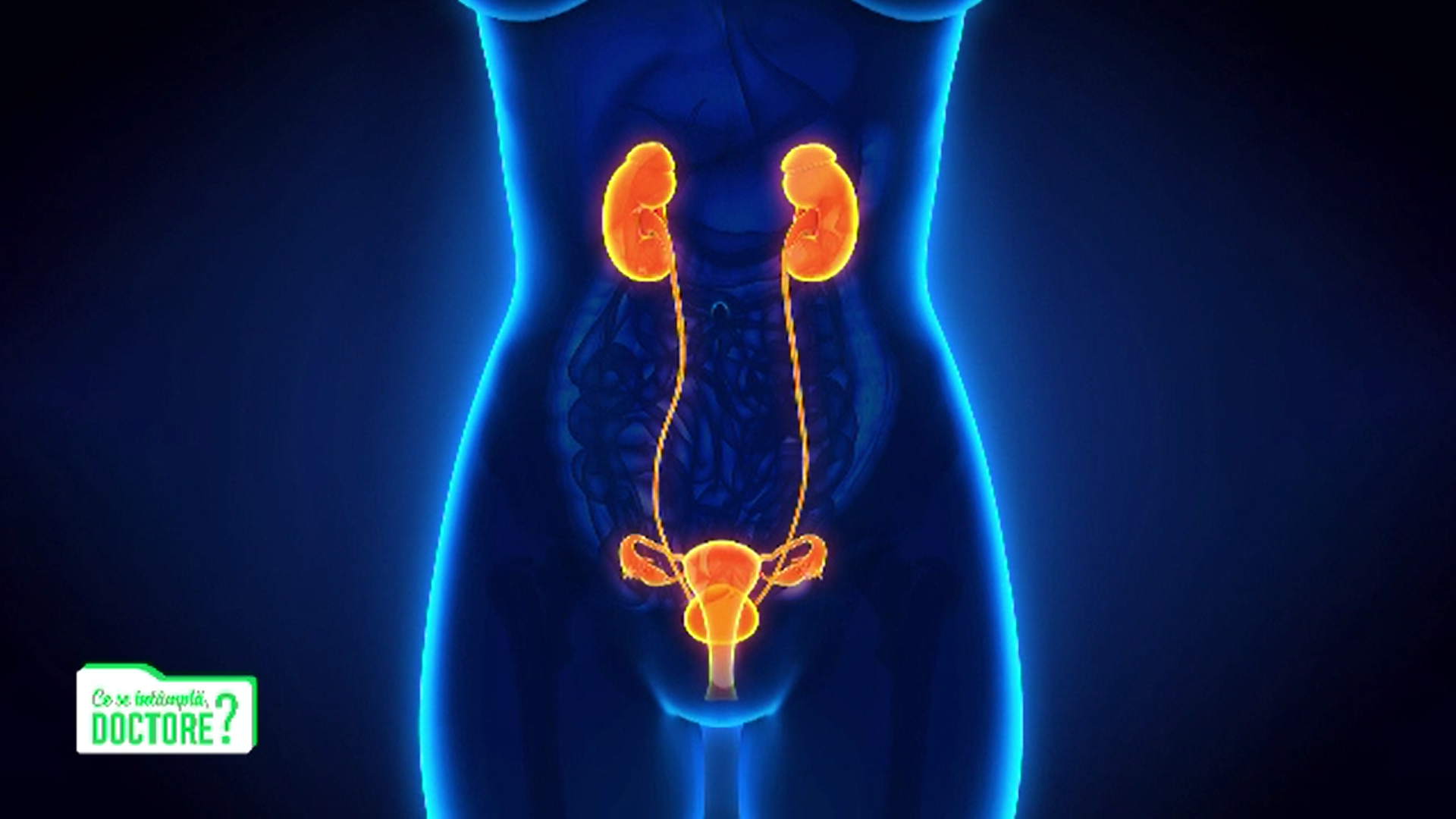 Femeile pot avea mai multe episoade de infecţii urinare decât bărbaţii. Cum pot fi limitate infecţiile