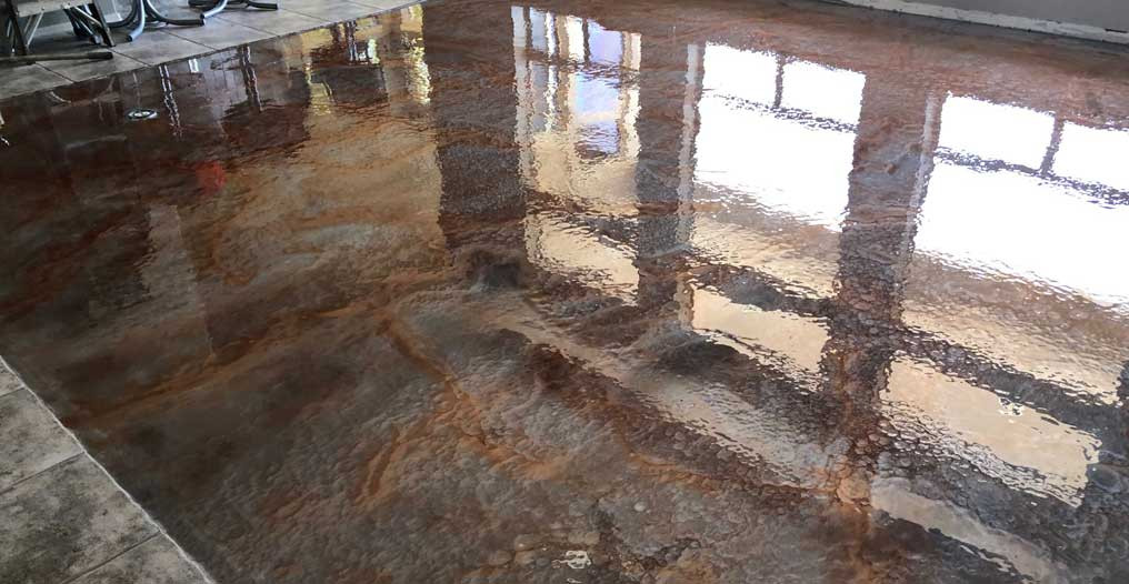 reformex advertorial