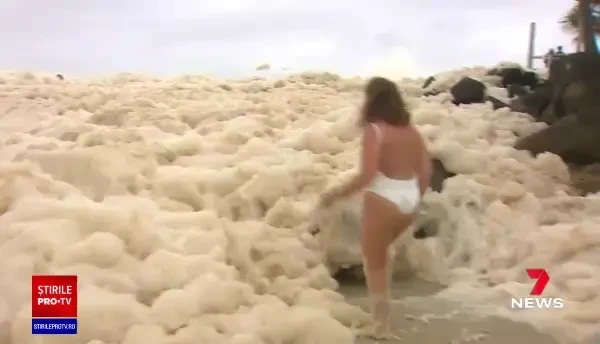 O cătelușă a fost salvată din spuma oceanică, în timpul unei transmisiuni pentru un post de știri