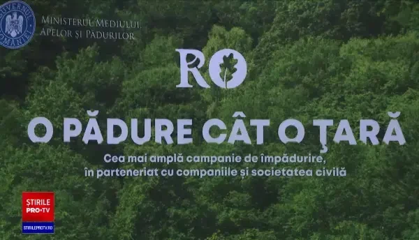 Klaus Iohannis a plantat stejari și a lansat o provocare viitorului Guvern. Care este situația pădurilor din România