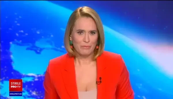 Cangurii sunt capabili să ceară ajutorul oamenilor. Cum au descoperit cercetătorii asta