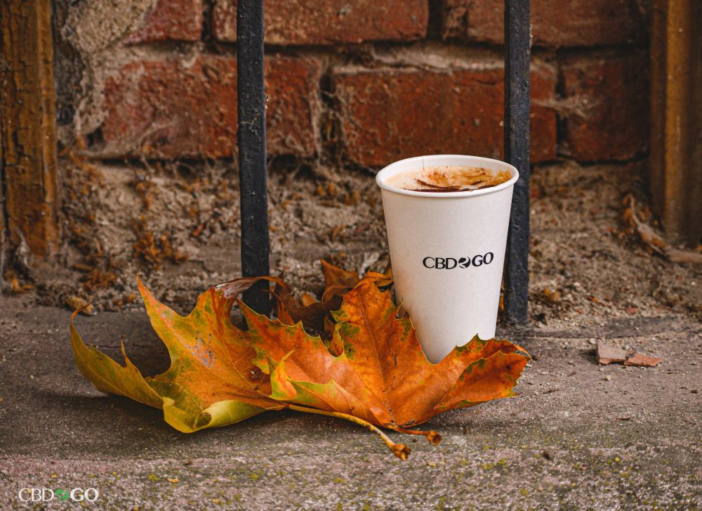 (P) Cafeneaua CBD este conceptul care îşi propune să revoluţioneze piaţa cafenelelor din România