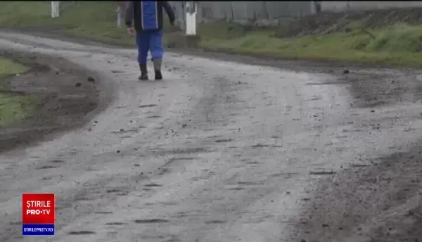 Trei indivizi, care ar fi furat aproape 500 de oi, reținuți. Cum acționau