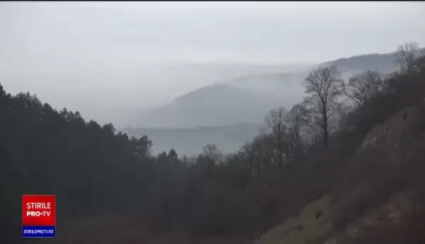 Tăierea porcului în pandemie. Cum se sărbătorește Ignatul în acest an