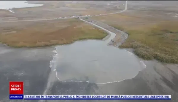 Lacul Nuntași din Delta Dunării prinde viață, după ce secase complet în doar patru luni