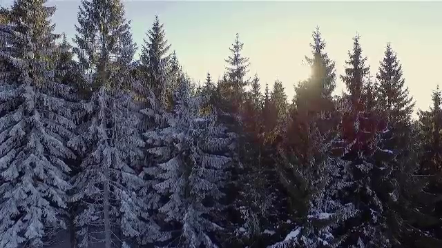 Cum va fi vremea în zilele de Crăciun. Zonele în care va ninge