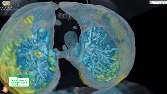 Cum afectează fumatul fertilitatea. Persoanele care vor copii trebuie să se lase de fumat cu trei luni înainte