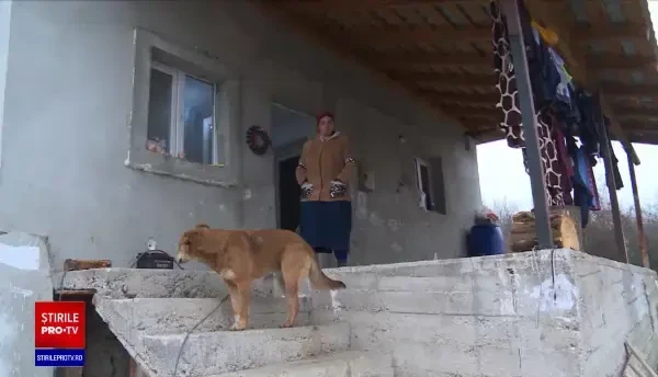 Tânăr din Dâmbovița, arestat după ce a jefuit o familie. Ce și-a cumpărat cu banii