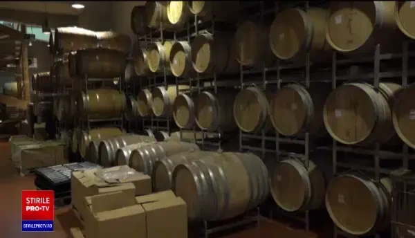 Cum să alegeți vinul în funcție de preparatele culinare pe care le serviți. Sfaturi din partea specialiștilor