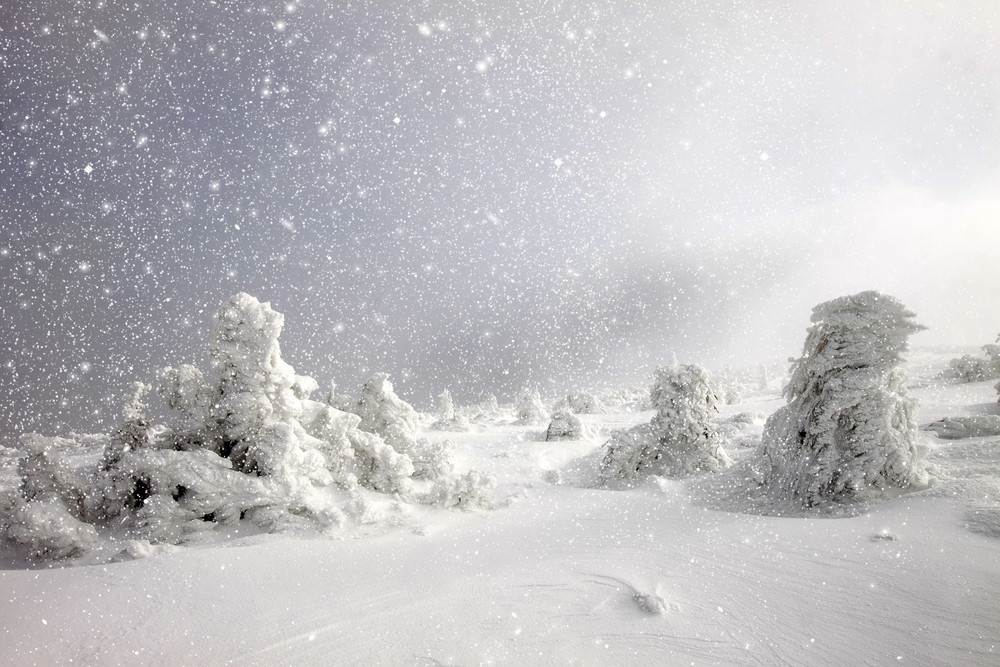 Alertă de fenomene meteo periculoase. Cod portocaliu de viscol în zonele montane din zece judeţe
