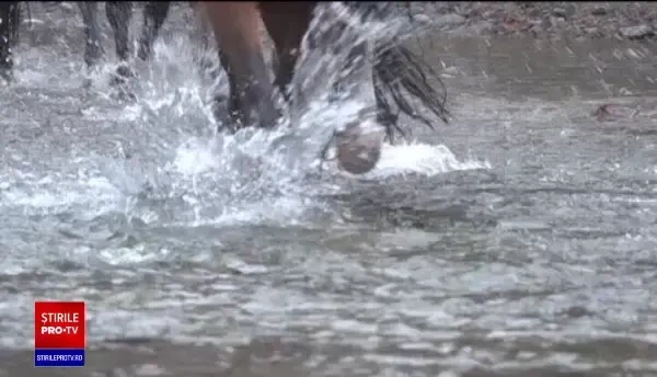 Destinație pentru vacanțe în plină pandemie. Pensiunile de pe Valea Avrigului își așteaptă turiștii