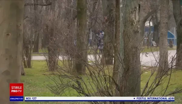 Horoscop 31 decembrie 2020, cu Neti Sandu. Balanțele vor relua o relație care le va aduce fericire