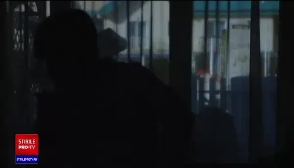 Petardele pot mutila pe viață copiii și adulții, iar animalele sunt terorizate. S-au vândut însă ca pâinea caldă