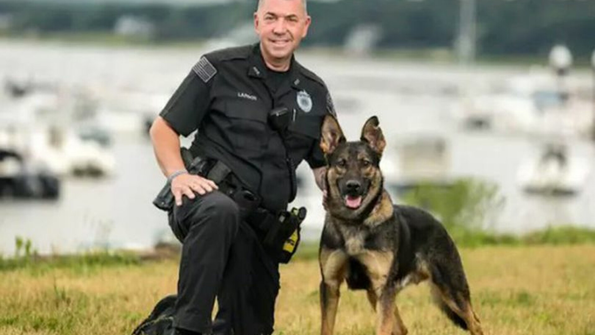 Un polițist și-a împușcat câinele de patrulă, la o intervenție de urgență. Ce s-a întâmplat