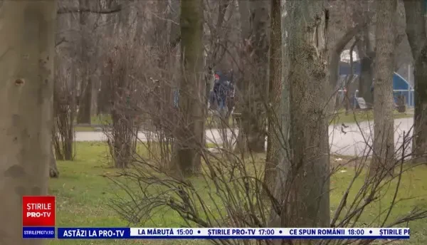 Horoscop 4 ianuarie 2021, prezentat de Neti Sandu. Leii vor primi o sumă semnificativă de bani