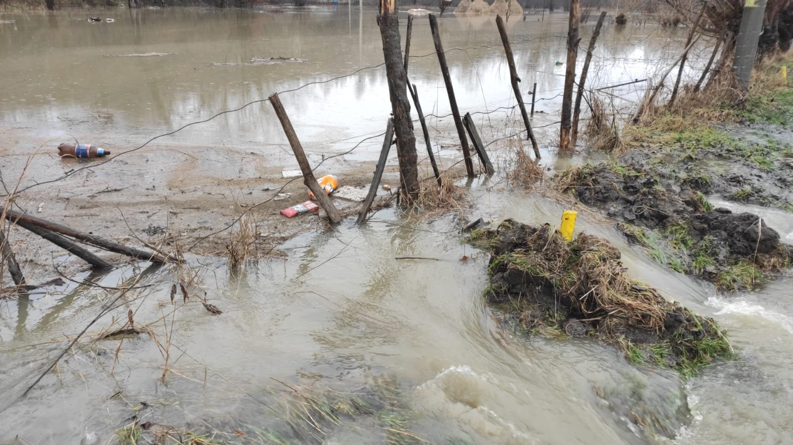 inundatii