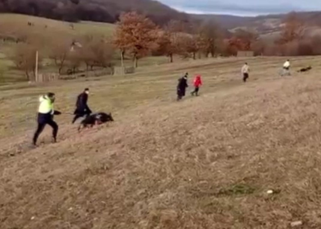 Copil de 3 ani dispărut în Covasna, găsit teafăr după o noapte. 100 de oameni l-au căutat