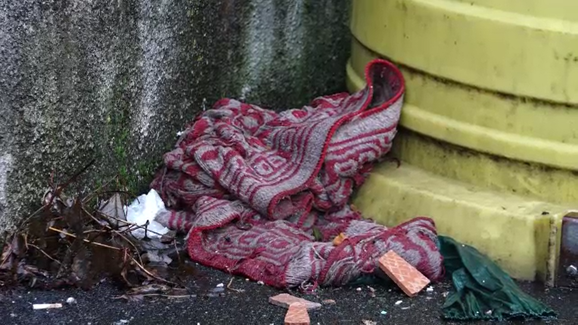 Mama bebelușului abandonat lângă un tomberon, găsită și audiată de polițiști. Cum a explicat gestul