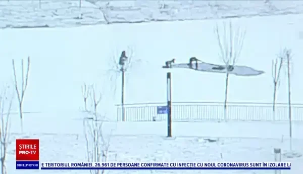 Tragedie în China. Un băiețel a fost salvat dintr-un lac înghețat, dar unul din salvatori a murit