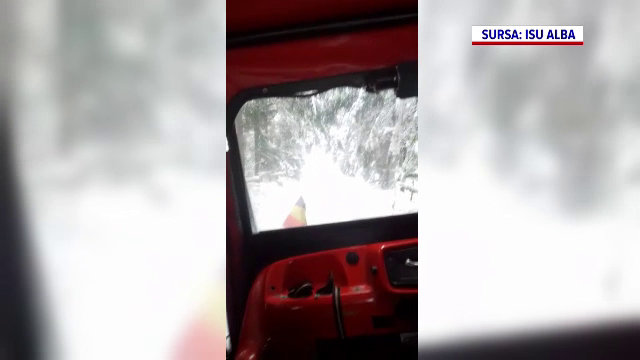 Sute de oameni au rămas fără electricitate, după ce mai mulți copaci au căzut peste firele de curent