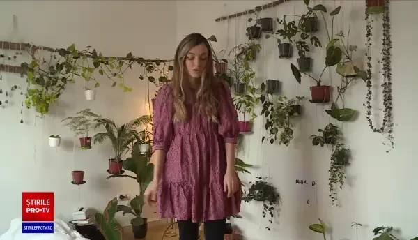 Dorul de natură i-a făcut pe români mai atrași de florile de apartament. Cum sunt achiziționate plantele rare