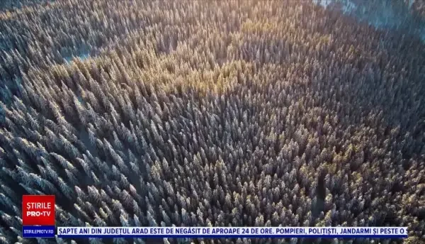 Locul fermecător din Cluj care seamănă izbitor cu stațiunile din Alpi. Cât costă cazarea