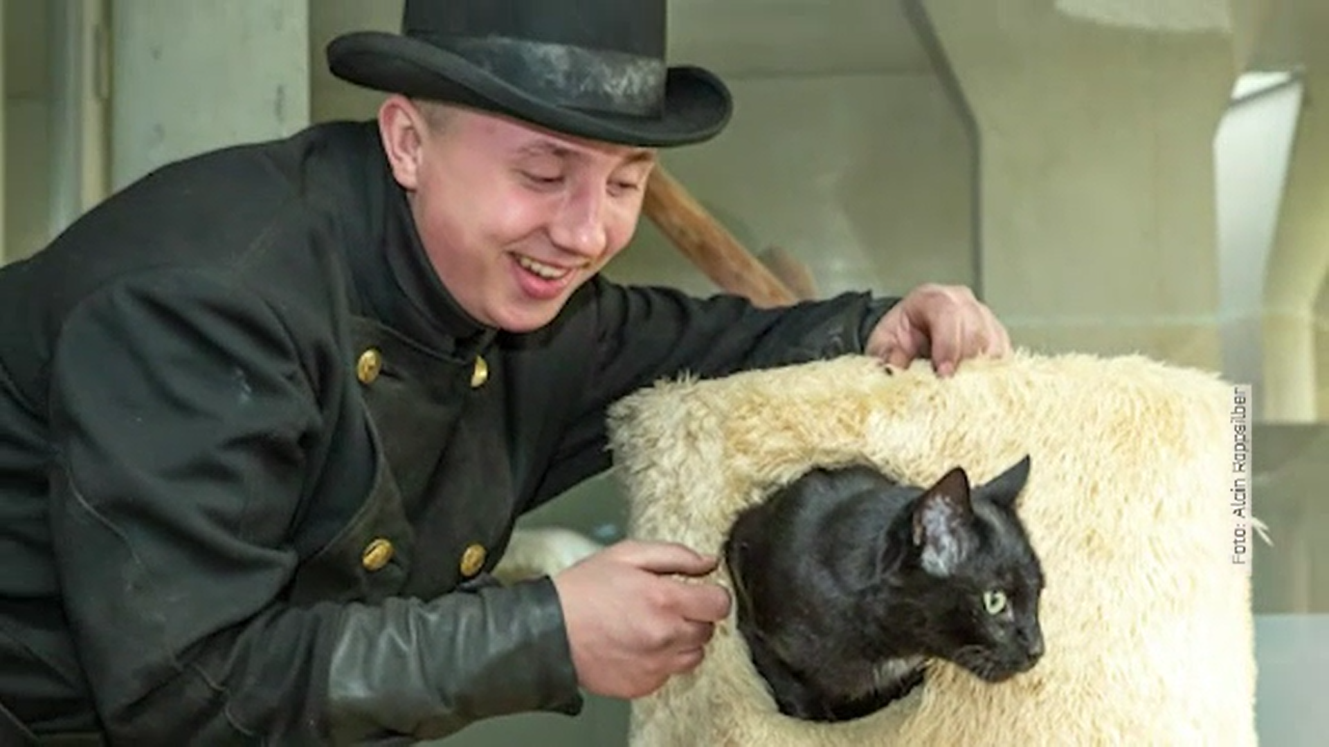 Metoda inedită prin care coșarii din Berlin vor să schimbe ideea că pisicile negre aduc ghinion