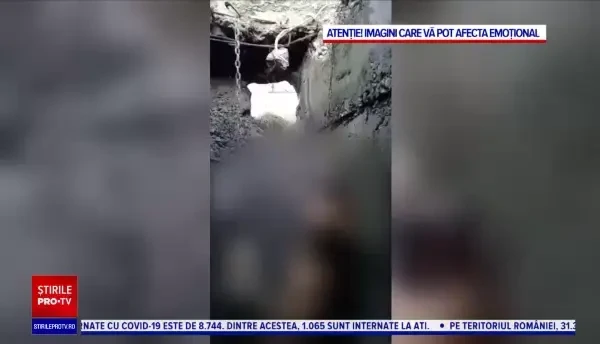 O femeie a găsit trei câini spânzurați, într-un sat din Bihor