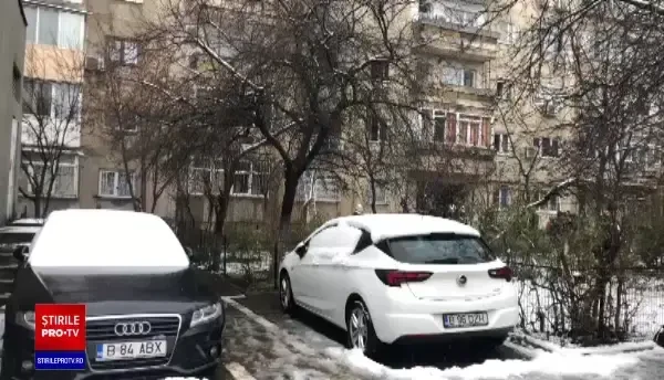 Pompierii bucureșteni au salvat doi iepuri dintr-un incendiu izbucnit într-un bloc