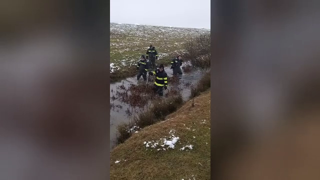 Copilul de şapte ani dispărut în Arad nu a fost găsit nici după 5 zile. Familia crede că a fost răpit