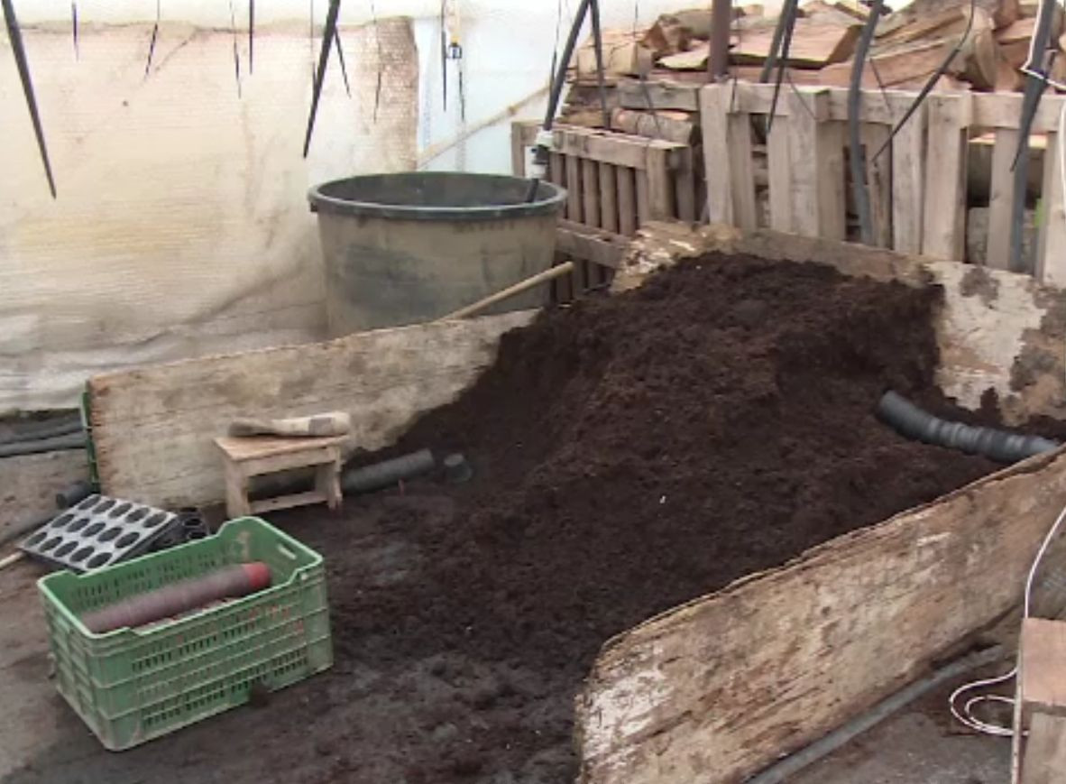 Programul „Tomata” nu va continua în 2021. Agricultorii se plâng şi anunţă scumpiri