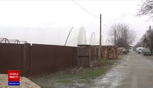 Programul „Tomata” nu va continua în 2021. Agricultorii se plâng şi anunţă scumpiri