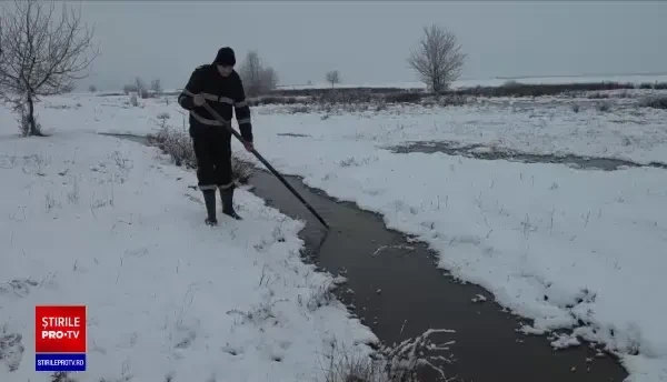 Copilul de şapte ani dispărut în Arad nu a fost găsit nici după 5 zile. Familia crede că a fost răpit